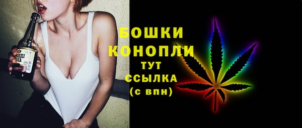 тгк Кукмор