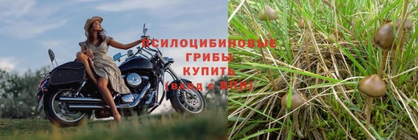 бутират Новочеркасск