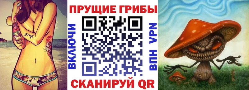 Псилоцибиновые грибы Magic Shrooms купить закладку Коломна