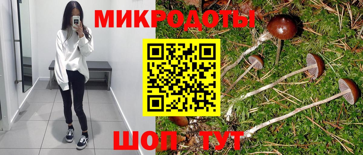 Псилоцибиновые грибы GOLDEN TEACHER Коломна