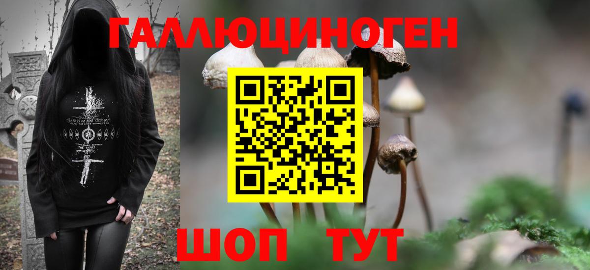 Галлюциногенные грибы мухоморы Коломна